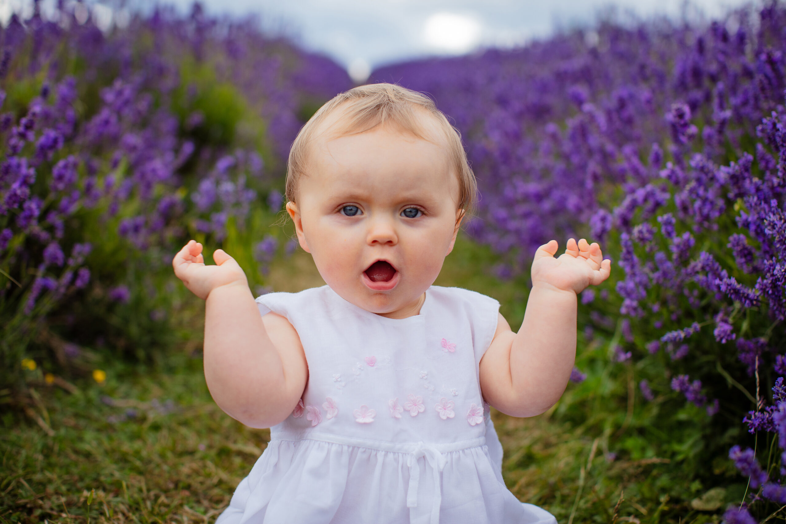 Baby in a Lavender field photographed by Seaford photographer in East Sussex 